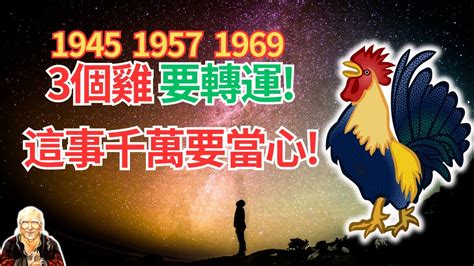 1969生肖雞|1969年的屬雞人：一生一世命運，神算！